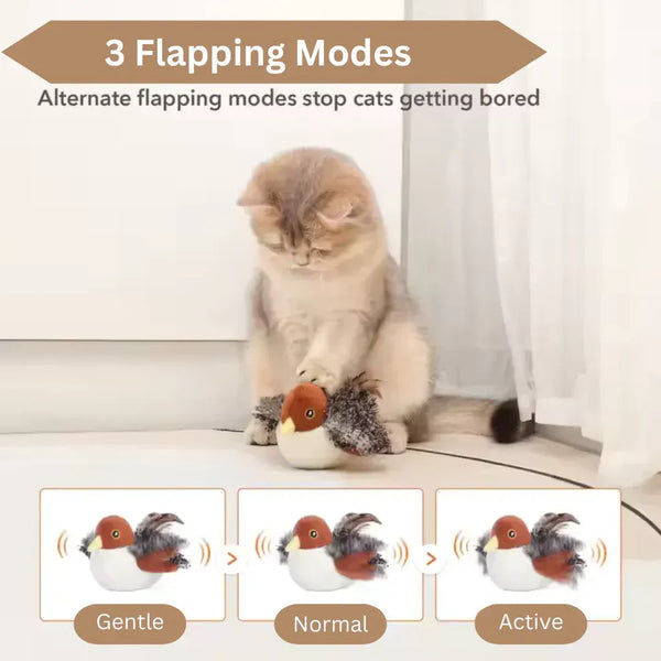 Flappy Chase Bird - Interactive Toy